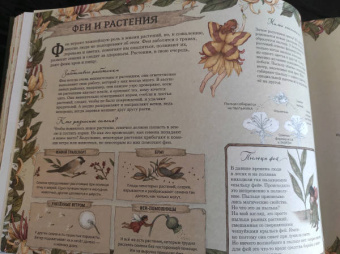 Секретная жизнь фей