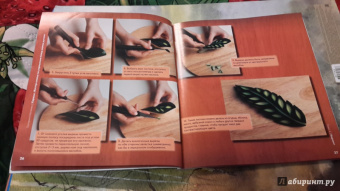 Екатерина Матвеева: Карвинг. Мастер-классы по украшению блюд своими руками