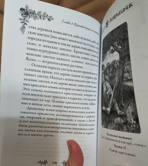 Микки Мюллер: Голоса деревьев. Кельтский оракул (25 карт)