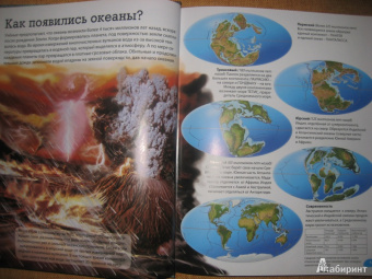 Кармен Родригес: Животные морей и океанов