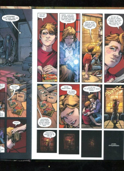 Джошуа Уильямсон: Флэш. Год первый