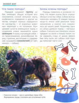 Думай Кидс № 2023 № 18 (6)