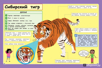 Стив Паркер: Дикие животные. Отправляйтесь в удивительный мир!