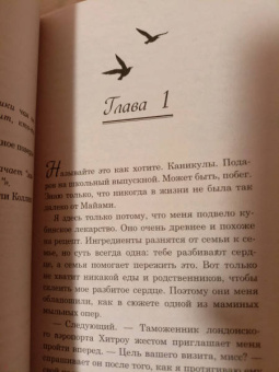 Лорен Нейми: Гид по чаю и завтрашнему дню