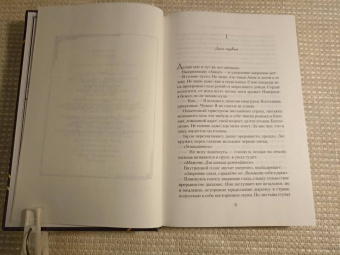 Стюарт Тёртон: Семь смертей Эвелины Хардкасл
