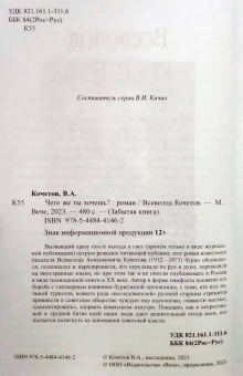 Всеволод Кочетов: Чего же ты хочешь?