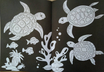 Раскраска ВОЛШЕБНЫЙ ЧЕРНЫЙ. ЦВЕТЫ И УЗОРЫ (Р-5489)