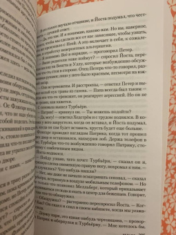 Камилла Лэкберг: Ведьма