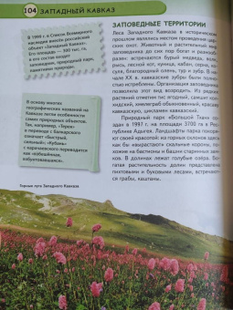 Петрова, Амфилохиева: Чудеса света