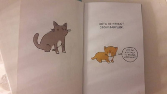 Брук Баркер: Грустные факты о детенышах