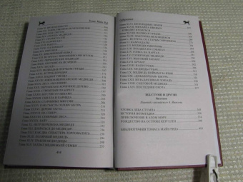 Рид Майн: Письмо и пуля