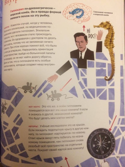 Толченникова, Нечипоренко: Ключи от головы. Что ученые знают про мозг