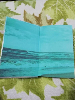 Кэрри Лонсдейл: Разбивая волны