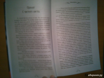 Екатерина Верхова: Виттория