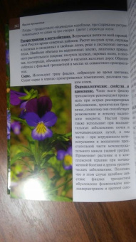 Александр Ефремов: Дикорастущие лекарственные растения средней полосы России:  карманный справочник
