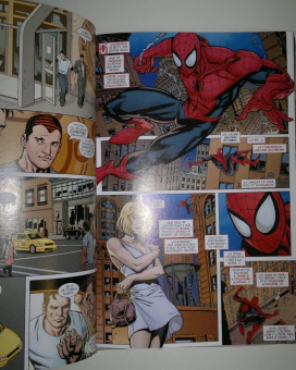 Ван, Келли, Гуггенхайм: Человек-Паук. Новые способы жить