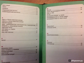 Эва-Мария Кремер: Самые популярные породы собак