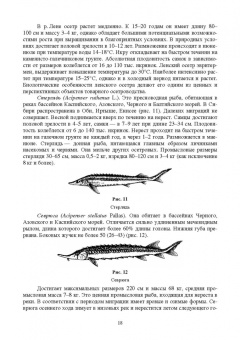 Власов, Жигин: Технология производства продукции биоресурсов. Учебное пособие