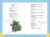 Чуковский, Барто, Берестов: Сказки и стихи к Новому году