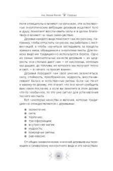 Ана Васкес: Природа. Духовные практики с деревьями, растениями, камнями и ландшафтами