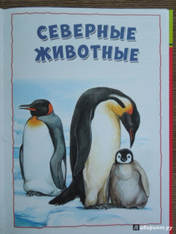 Моя первая книга о животных