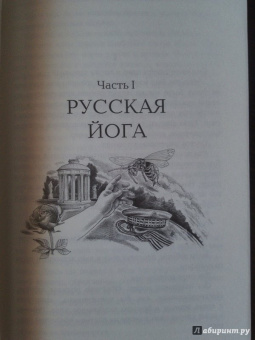 Александр Лапин: Святые грешники