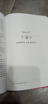 Зорайда Кордова: Наследие Божественной Орхидеи