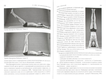 Виктор Бойко: Йога. Искусство коммуникации