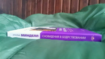 Арнольд Минделл: Сновидение в бодрствовании. Методы 24-часового осознаваемого сновидения в психотерапии