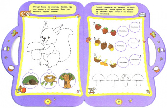 Юлия Сафонова: Интеллектуальное развитие. Для детей 4-5 лет