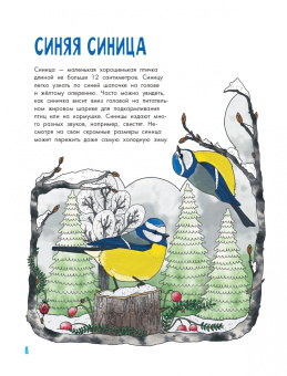 Эмма Янссон: Птицы