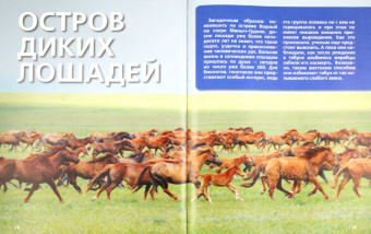 Дикие животные России