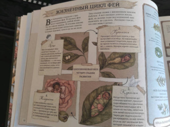 Секретная жизнь фей