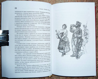 Рид Майн: Вольные стрелки