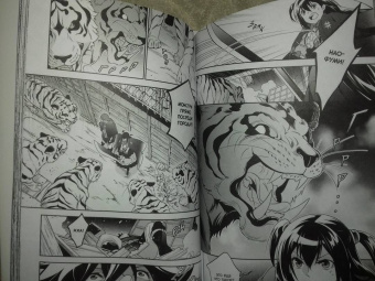 Кю, Юсаги: Восхождение Героя Щита. Том 18