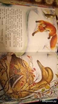 Бианки, Сладков, Толстой: Сказки и рассказы русских писателей