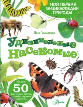 Илья Гомыранов: Удивительные насекомые