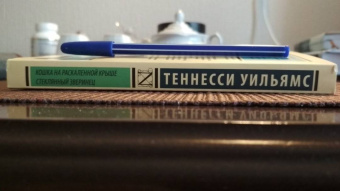 Теннесси Уильямс: Кошка на раскаленной крыше. Стеклянный зверинец