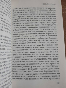 Василий Розанов: В темных религиозных лучах. Купол храма