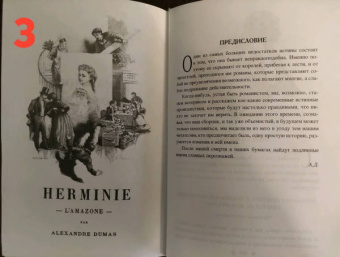 Александр Дюма: Госпожа де Шамбле