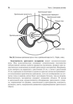 Смирнов, Умрюхин: Физиология сенсорных систем. Высшая нервная и психическая деятельность, поведение. Учебное пособие