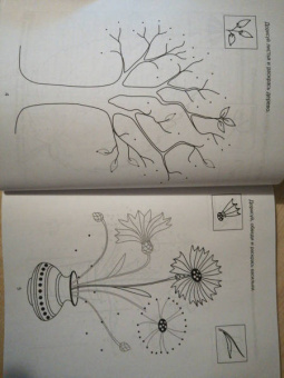 Татьяна Ушинская: Большая пропись-поддержка для детей, которым нелегко дается письмо
