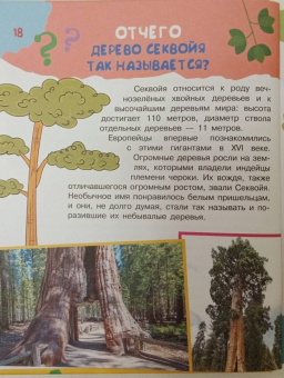 Бобков, Малов: Почему, зачем и как? Самые интересные детские вопросы