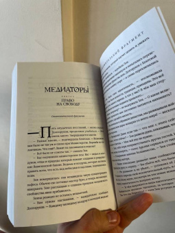 Дарья Буданцева: Медиаторы. Книга 1. Право на власть