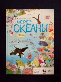 Амандин Тома: Через океаны