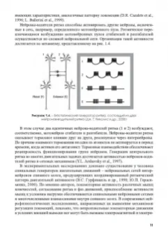 Городничев, Шляхтов: Физиология координационных способностей спортсменов. Монография