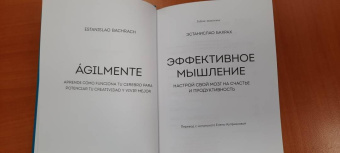 Эстанислао Бахрах: Эффективное мышление. Настрой свой мозг на счастье и продуктивность