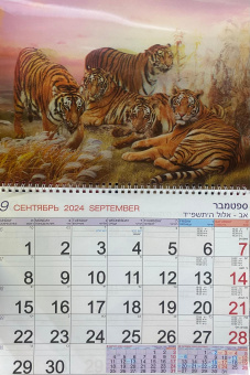 Календарь Стерео на 2025-2026 год: Тигры стая