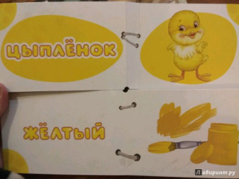 Найди половинки. Цвета и краски