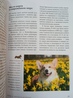 Ольга Шилова: Великолепные корги. Все о породах вельш-корги-пемброк и вельш-корги-кардиган